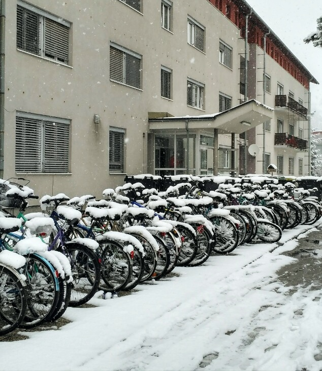 winterBikes--1-